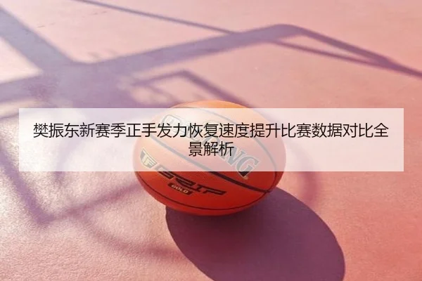 樊振东新赛季正手发力恢复速度提升比赛数据对比全景解析